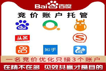 SEM竞价优化实战：提升转化率案例分析